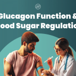 understanding-glucagon-function-in-blood-sugar-regulation